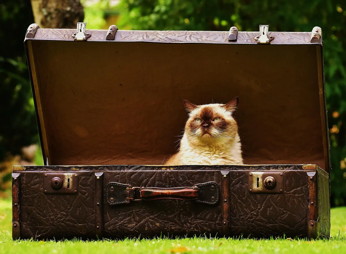 Island Packing Checklist for a Two-Week Trip: What to Bring and What to Leave Behind